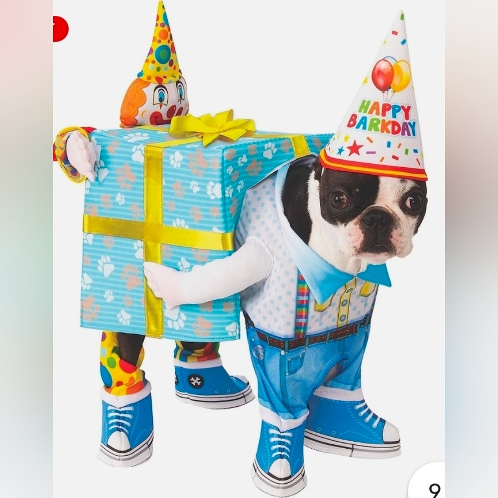 Birthday Present Dog Costume.
